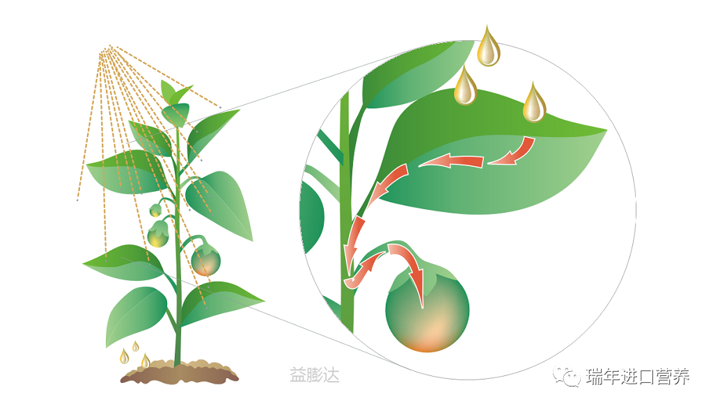 圖片關(guān)鍵詞