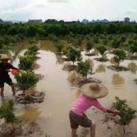 暴雨過后如何生產(chǎn)自救，這里有你需要知道的