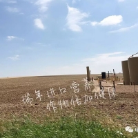 杭州瑞年考察美國化肥市場