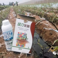 意大利綠力優(yōu)碳解決作物碳饑餓