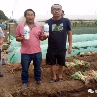 驕陽夏日，杭州瑞年為廣大種植戶提供技術(shù)服務(wù)