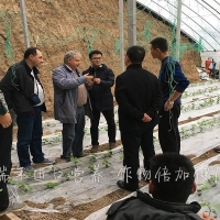 杭州瑞年舉辦山東壽光綠力系列產(chǎn)品推廣會