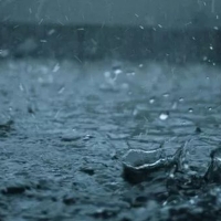 持續(xù)暴雨過后，如何拯救我們受傷的農(nóng)作物