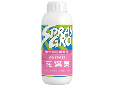花滿靈