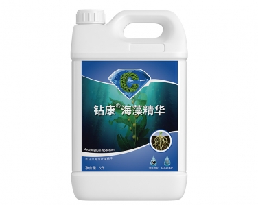 鉆康海藻精華