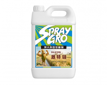 溉特硅