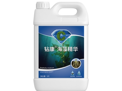 鉆康海藻精華